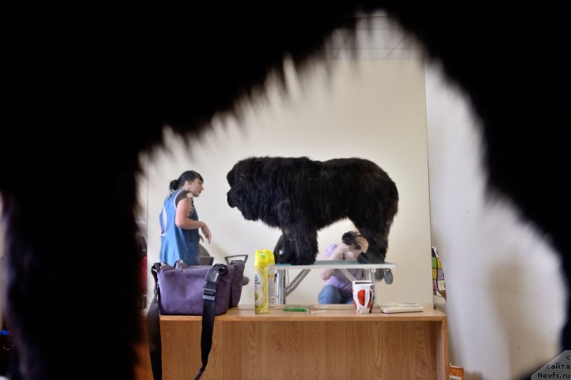 Фотография № 122088