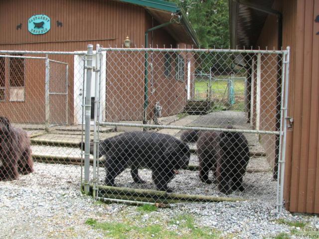 Фотография № 12210