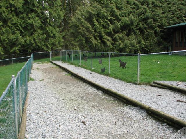 Фотография № 12211