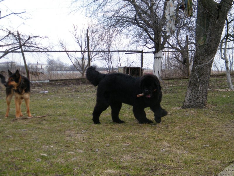 Фотография № 122148