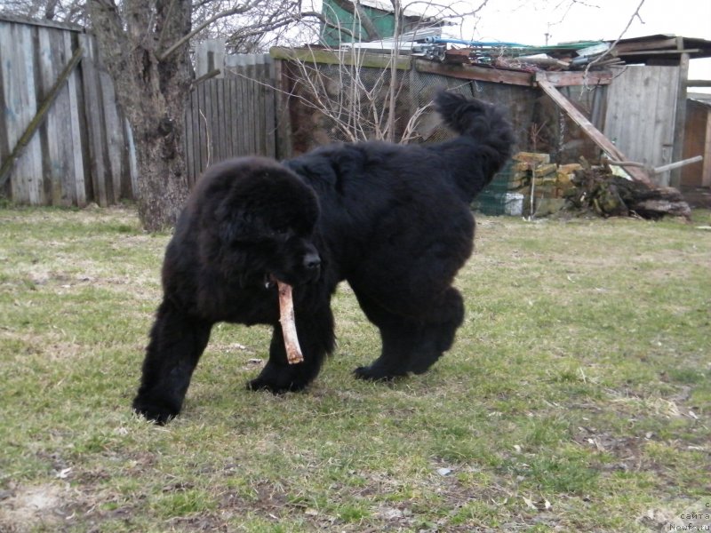 Фотография № 122149