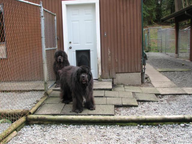 Фотография № 12215