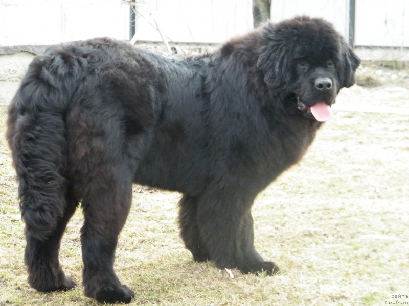 Фотография № 122151