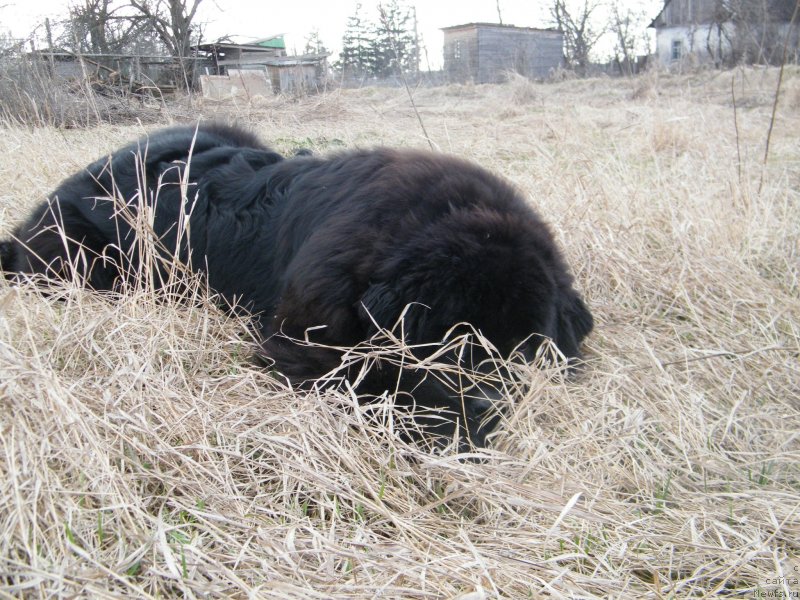 Фотография № 122155