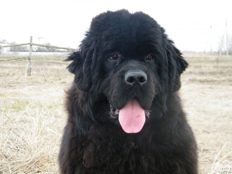 Фотография № 122156