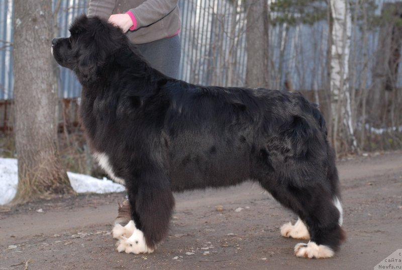 Фотография № 122206