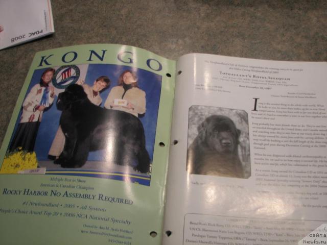 Фотография № 12226