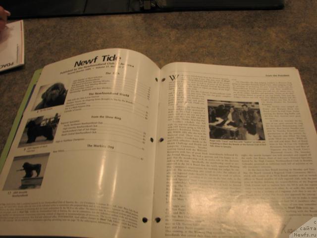 Фотография № 12227