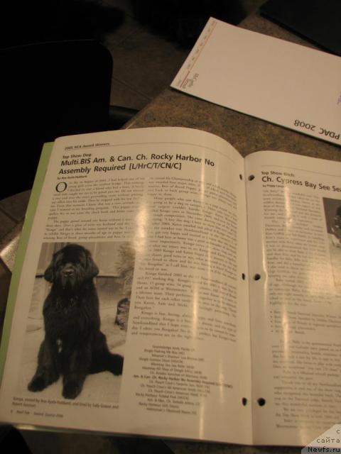 Фотография № 12229