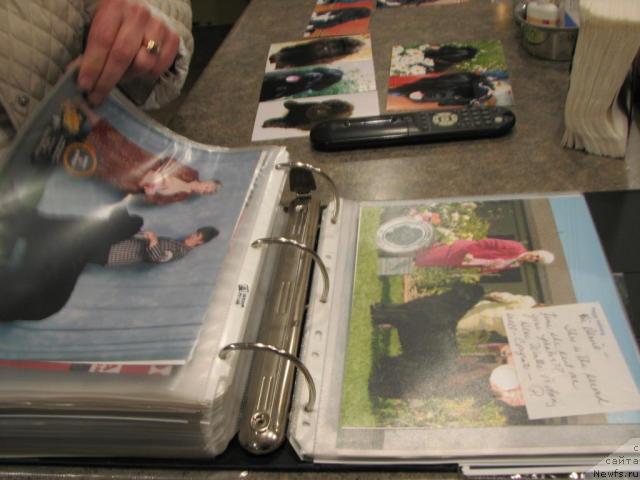 Фотография № 12231