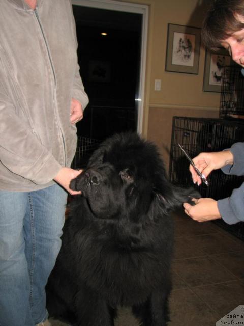 Фотография № 12233