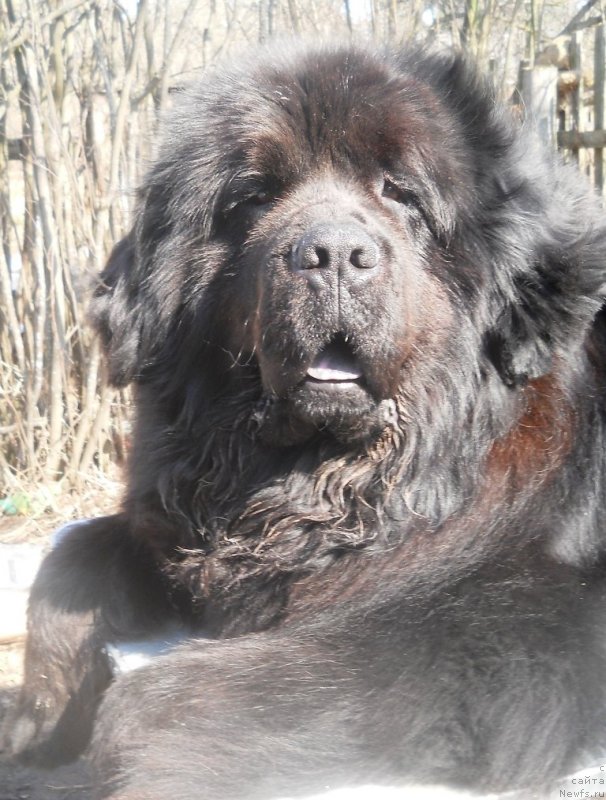 Фотография № 122366