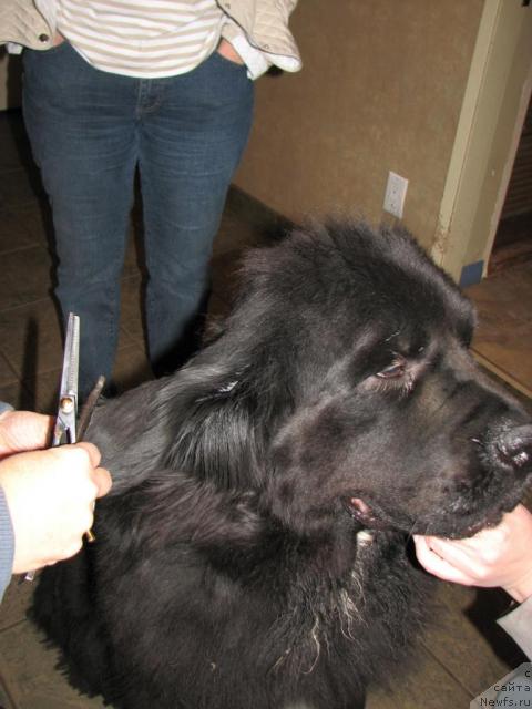 Фотография № 12242