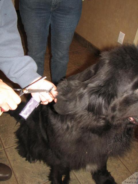 Фотография № 12243