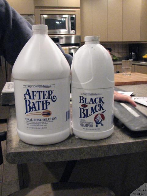 Фотография № 12244