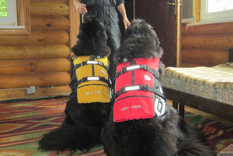 Фотография № 122542