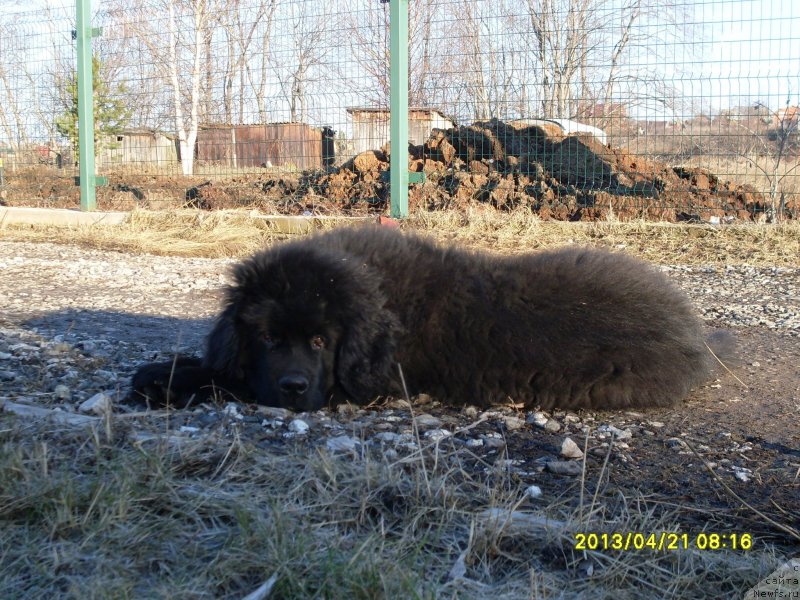 Фотография № 122592