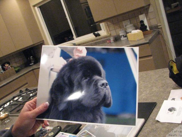 Фотография № 12263