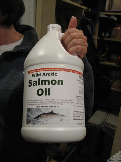 Фотография № 12264