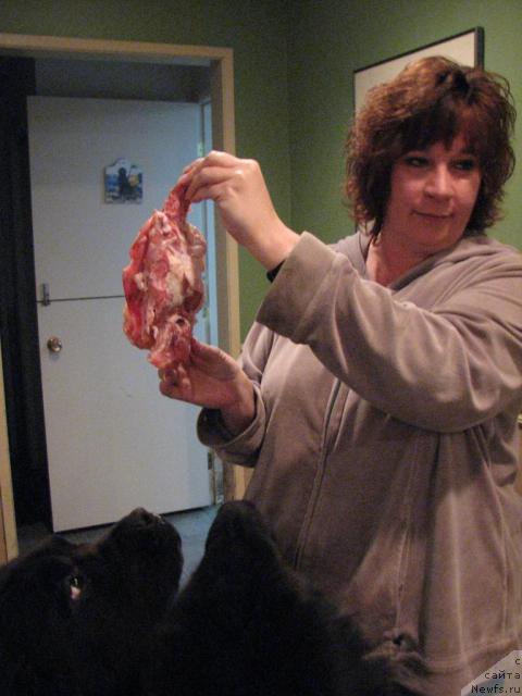 Фотография № 12265