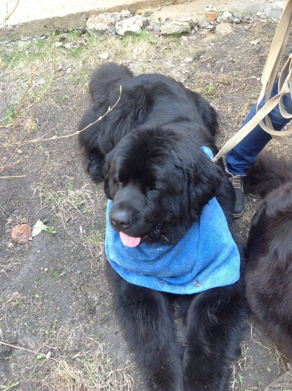 Фотография № 122667