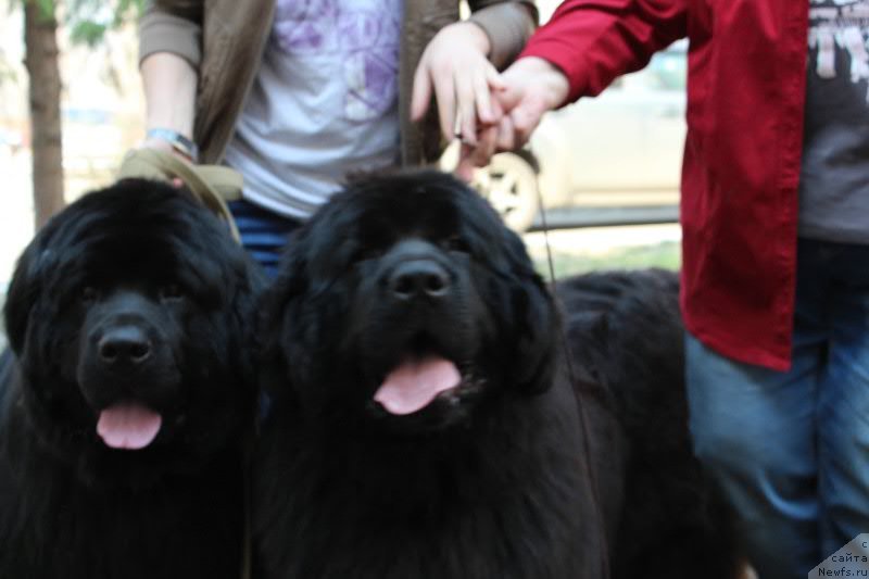 Фотография № 122670