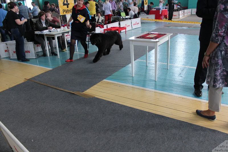 Фотография № 122672