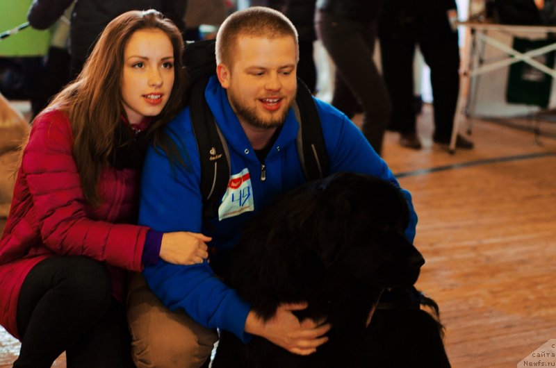 Фото: ньюфаундленд Северус Тобиас Снегг, Дмитрий Еске