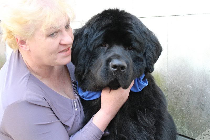 Фотография № 122707