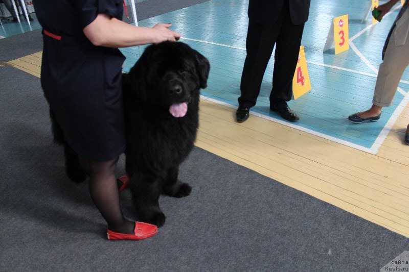 Фотография № 122708