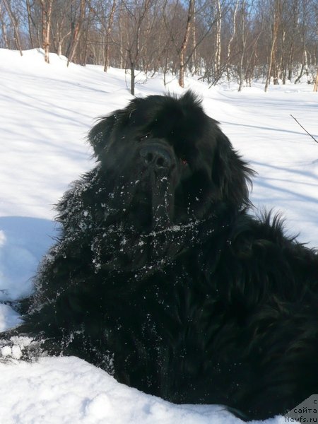 Фотография № 122709