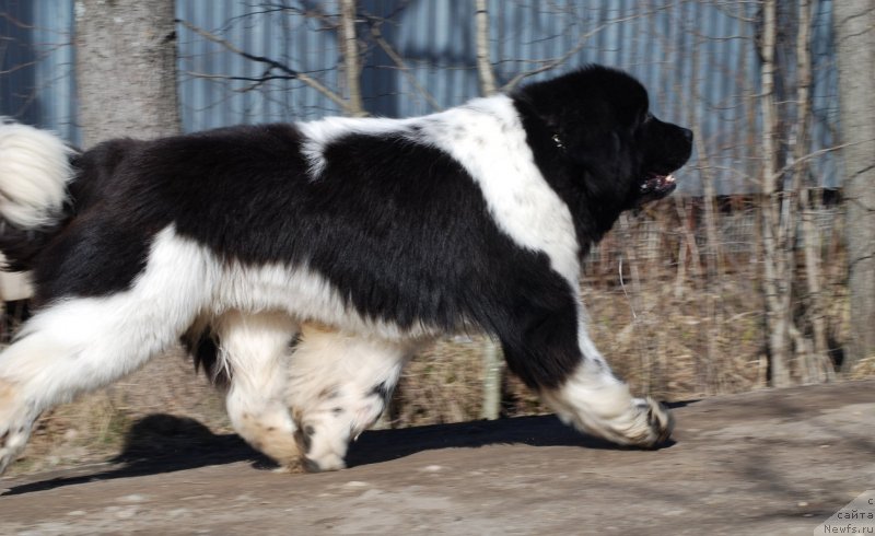 Фотография № 122728