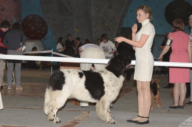 Фотография № 122734