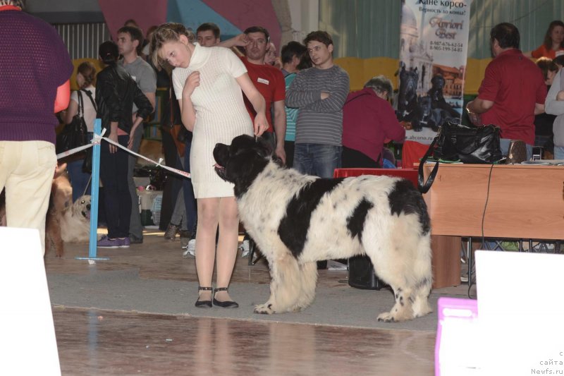 Фотография № 122738