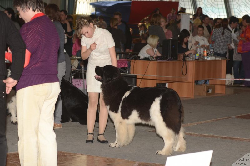 Фотография № 122740