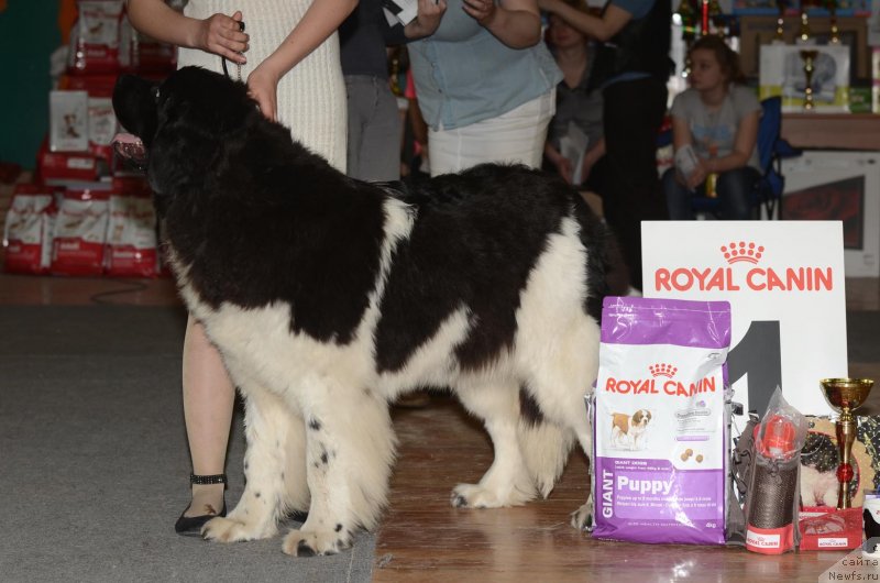 Фотография № 122743