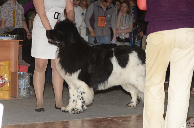 Фотография № 122751