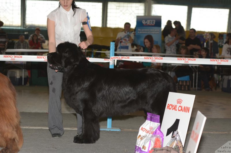 Фотография № 122755