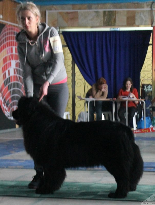 Фотография № 122756