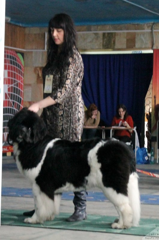 Фотография № 122757