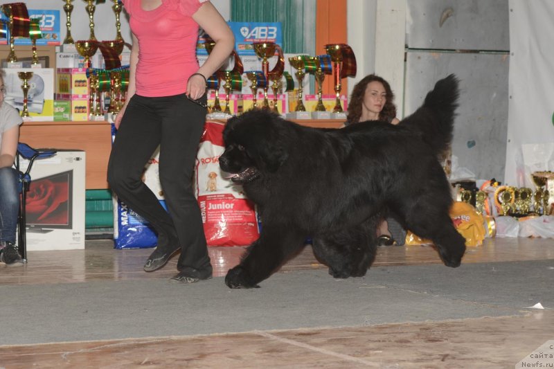 Фотография № 122760