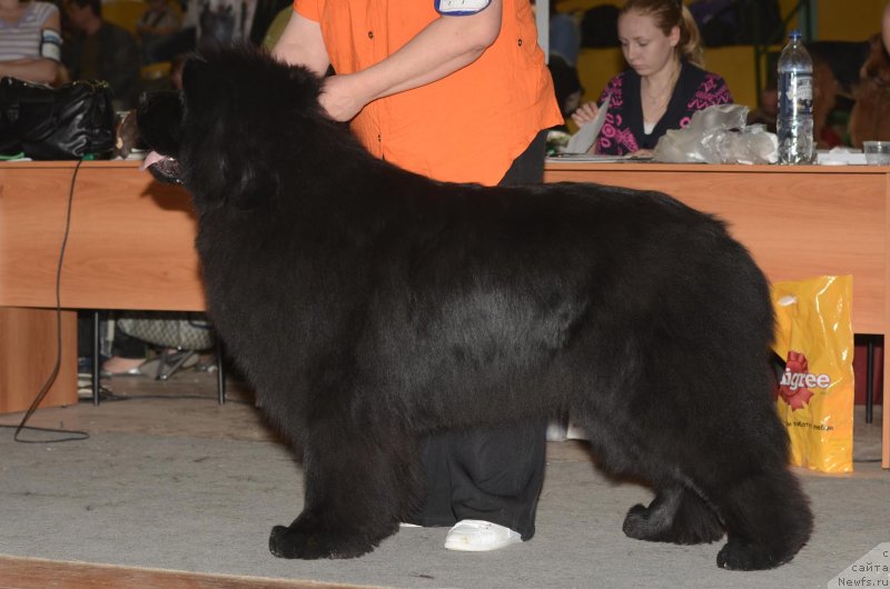 Фотография № 122761