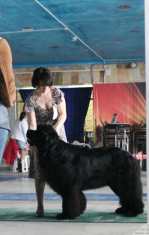 Фотография № 122767