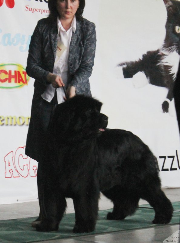 Фотография № 122778