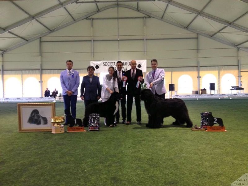 Фотография № 122785