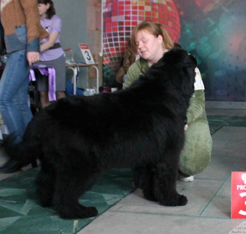 Фотография № 122787