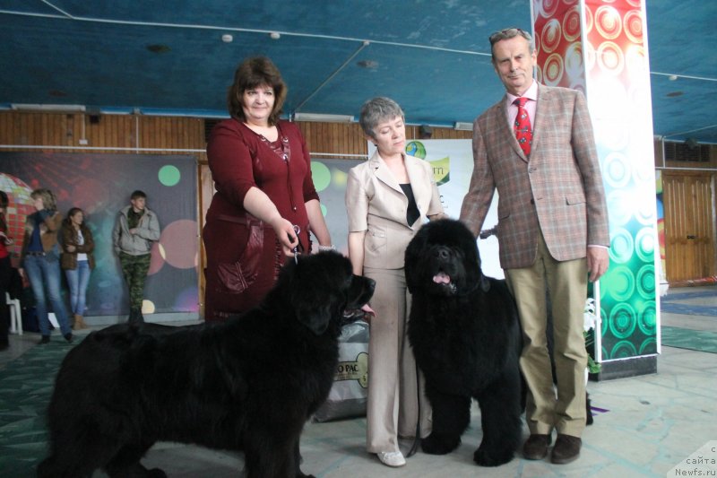 Фотография № 122789