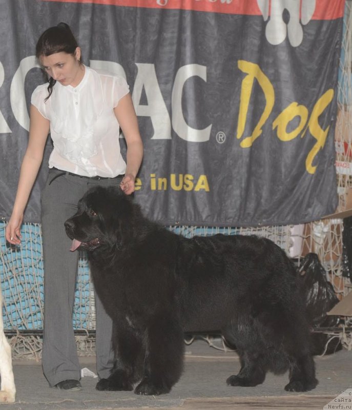 Фотография № 122804