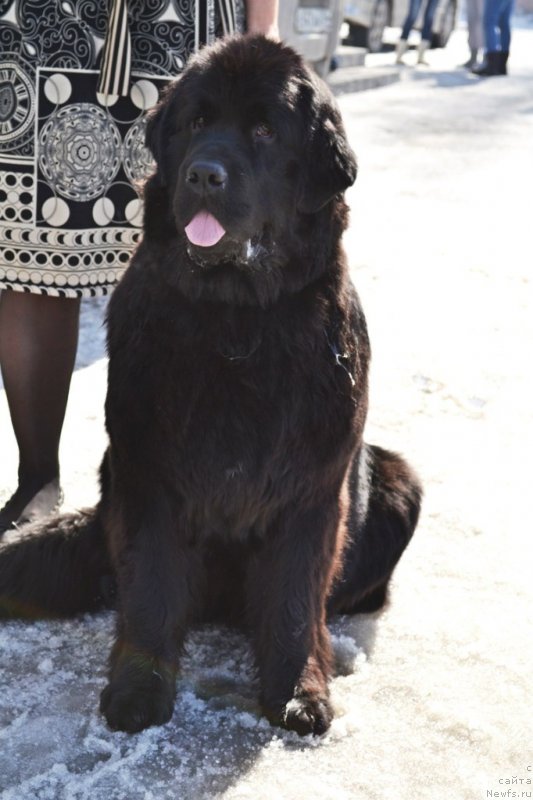 Фотография № 122810