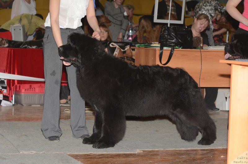 Фотография № 122812